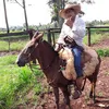 sidneilemessantos
