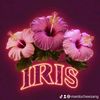 irisletoile