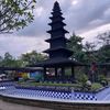 muslik_silver