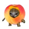 lobatoghost89
