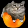 neelecheese