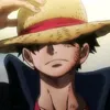 mugiwaralie