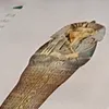 .nikt...waznyz