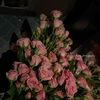 alj_lee3