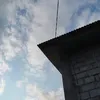 tama____________