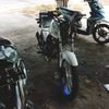 mpputih3