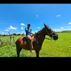 felipe_farias43