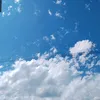 israsege28