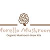 morellomushroom