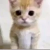 jsnsjansbba