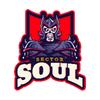 Sector Soul