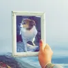 idgafyv