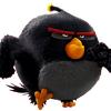 angrybirdnegro