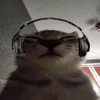 sarah_waleska011