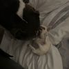 mia_milo_best_buds