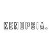 Kenopsia.