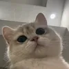 akuzahwaaaab