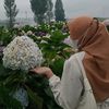 nad_yaaf