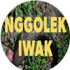 nggolek_iwak