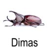 ydmss_