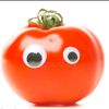 tomate_375