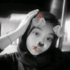 faa.rawrrrrr