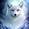 shiroi_kitsune13