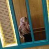 aprilldewi15