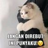 yosabdd