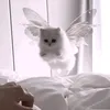 chgendeng0