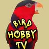 BIRD HOBBY TV