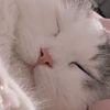 meowymoomoo