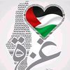 mahmoudelramady07