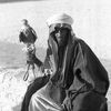الاكـوخ