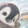 4u_syaa1