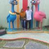 herlin.tersisi
