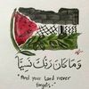 aminaals4