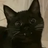 hahahie_seaaaaa
