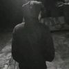 farelarel11