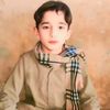 bisharat517