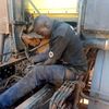 black.thomas
