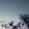 lizacute_011