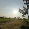malfiansyah621