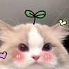 _kaizaa6