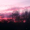 dark_fire229