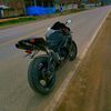 elmer_johas