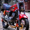 gotang.com