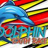 dolphinsouthrace