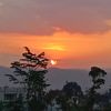 dhaa_83