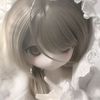 si_imut43